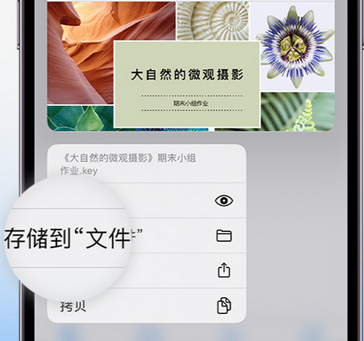 集贤apple维修中心分享iPhone文件应用中存储和找到下载文件