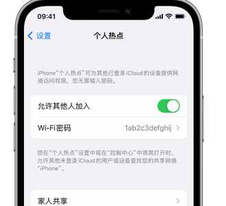 集贤apple服务站点分享iPhone上个人热点丢失了怎么办