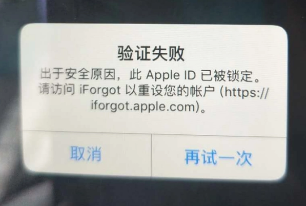 集贤iPhone维修分享iPhone上正常登录或使用AppleID怎么办 