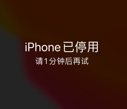 集贤苹果手机维修分享:iPhone 显示“不可用”或“已停用”怎么办？还能保留数据吗？ 