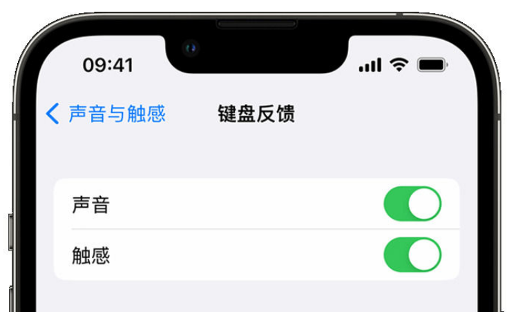 集贤苹果手机维修分享iPhone 14触感键盘使用方法 