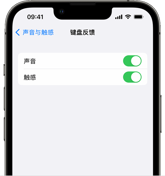 集贤苹果14维修店分享如何在 iPhone 14 机型中使用触感键盘 