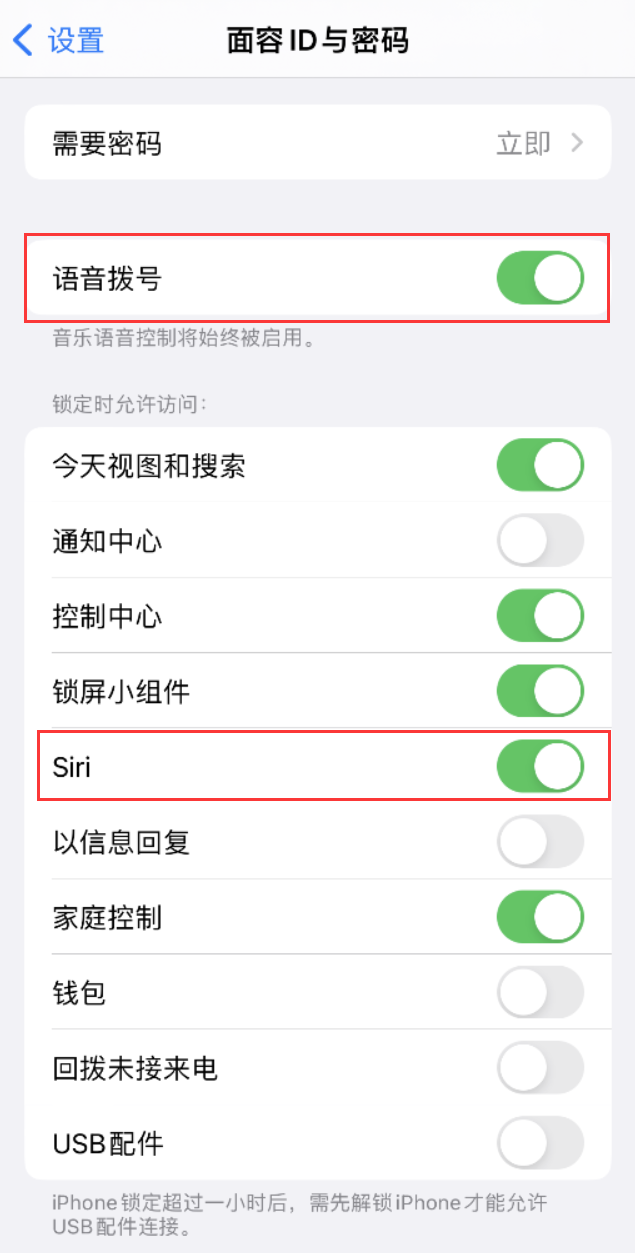 集贤苹果维修网点分享不解锁 iPhone 的情况下通过 Siri 拨打电话的方法 