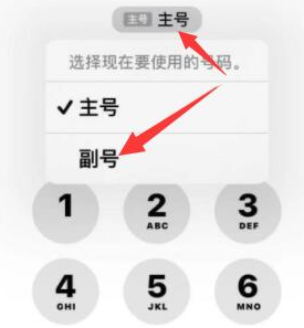 集贤苹果14维修店分享iPhone 14 Pro Max使用副卡打电话的方法 