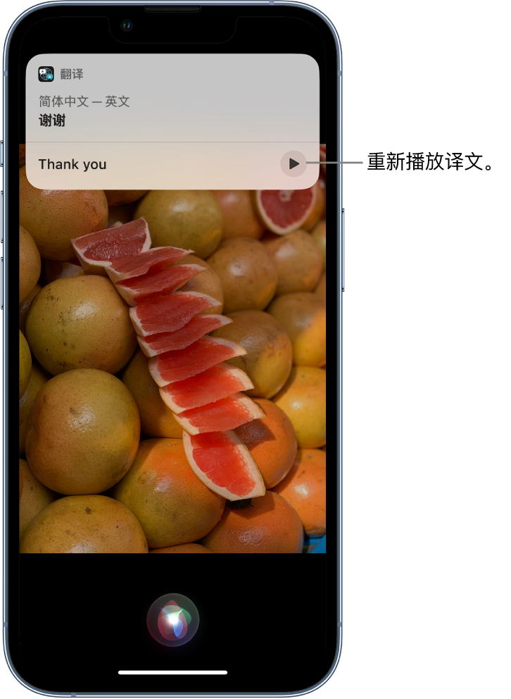 集贤苹果14维修分享 iPhone 14 机型中使用 Siri：了解 Siri 能帮你做什么 