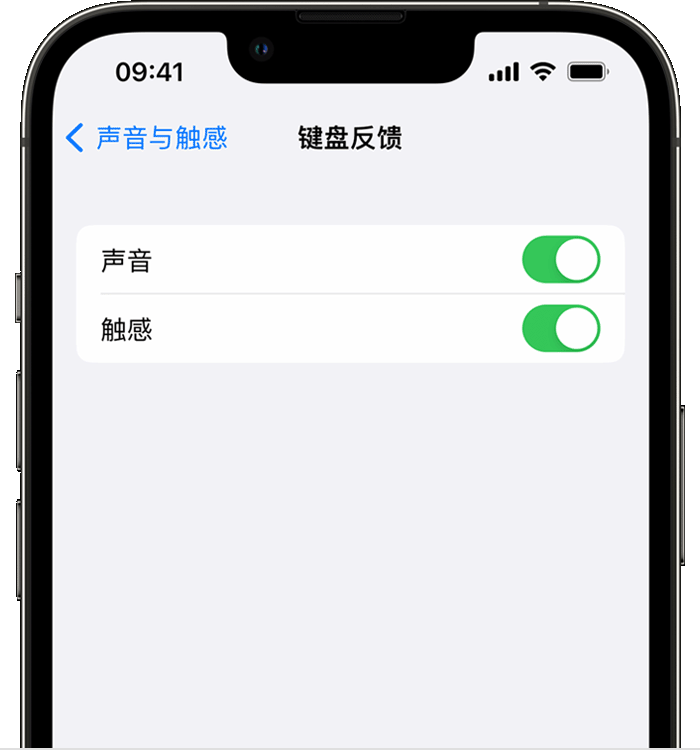 集贤苹果14维修分享iPhone 14 系列机型如何开启键盘声音或触感反馈 