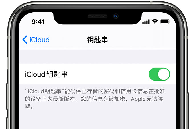 集贤苹果手机维修分享在 iPhone 上开启 iCloud 钥匙串之后会储存哪些信息 