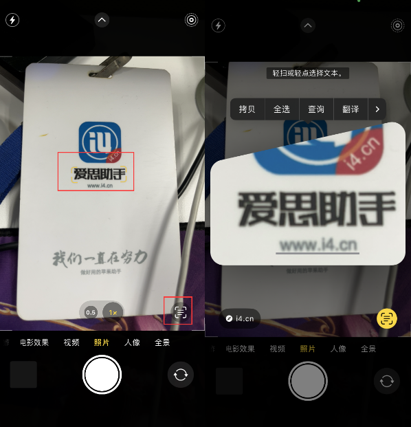 集贤苹果手机维修分享升级iOS 16后如何通过相机翻译文本 