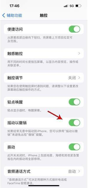 集贤苹果手机维修分享iPhone手机如何设置摇一摇删除文字 