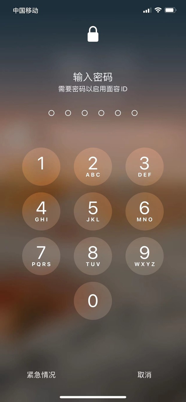 集贤苹果13维修分享iPhone 13加强锁屏功能有什么用 