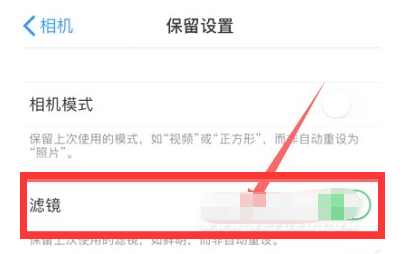集贤苹果13维修分享iPhone13拍照有绿点是怎么回事 