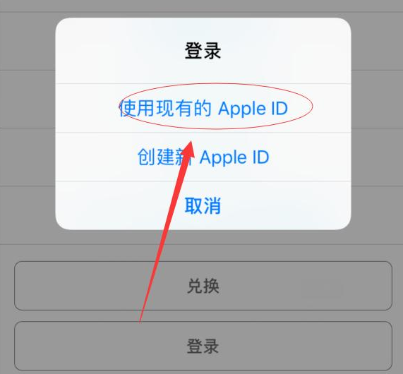 集贤苹果手机维修分享两台iPhone设备可以同时登录一个Apple ID吗 