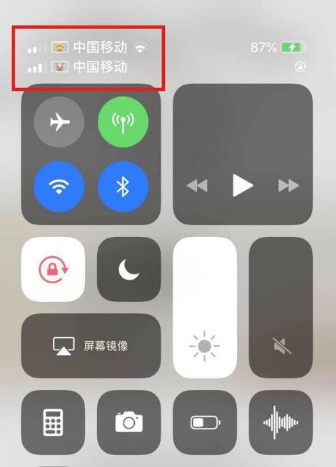 集贤苹果手机维修分享为 iPhone 12 双卡设置标签 